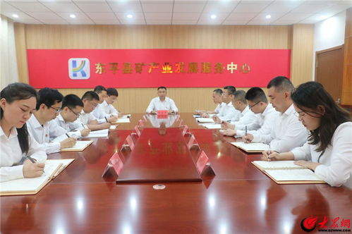 東平縣礦產(chǎn)業(yè)發(fā)展服務(wù)中心召開(kāi)黨組擴(kuò)大會(huì)議，以優(yōu)質(zhì)服務(wù)保障會(huì)議高效開(kāi)展